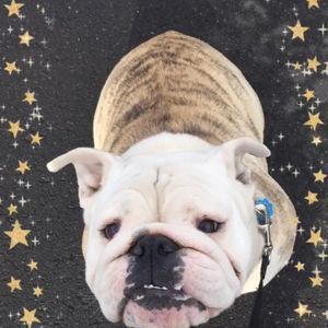 Meet your Posher, Ann